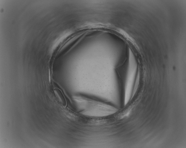 X0000077351269200611031812