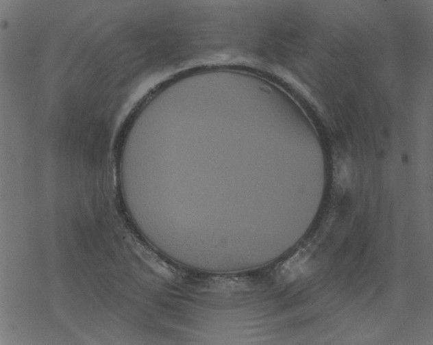 X0000077351270200611031812