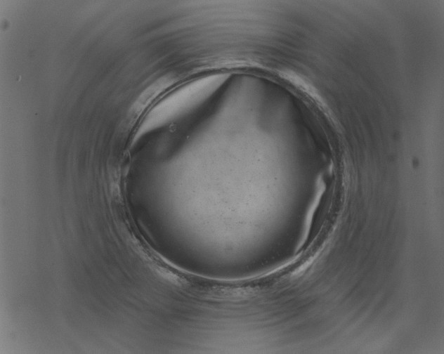 X0000077351273200611031812