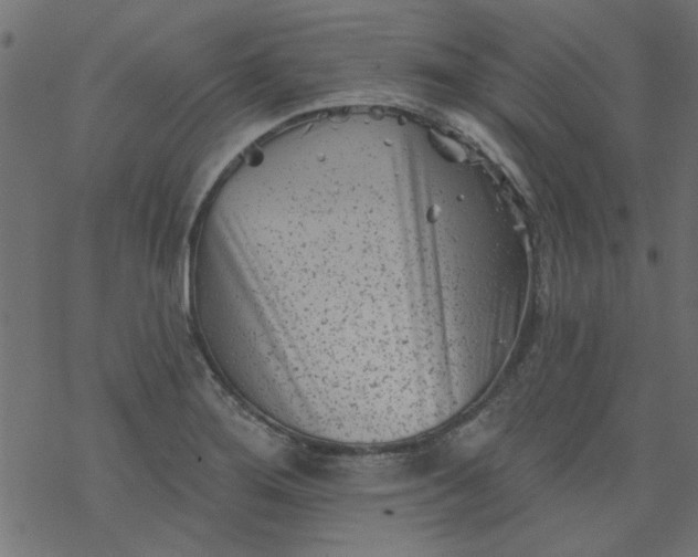 X0000077351276200611031812