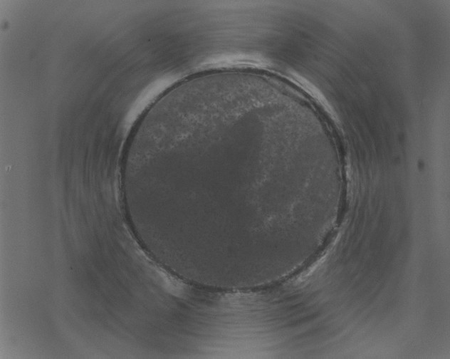 X0000077351277200611031812