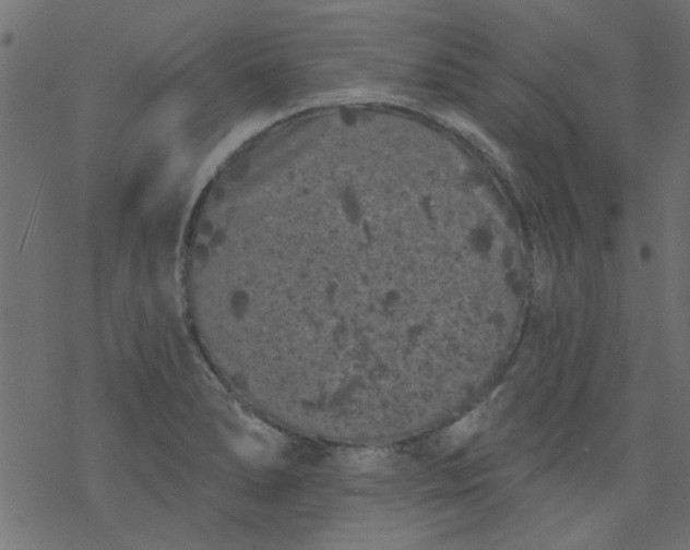 X0000077351278200611031812