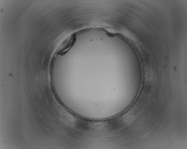 X0000077351280200611031812