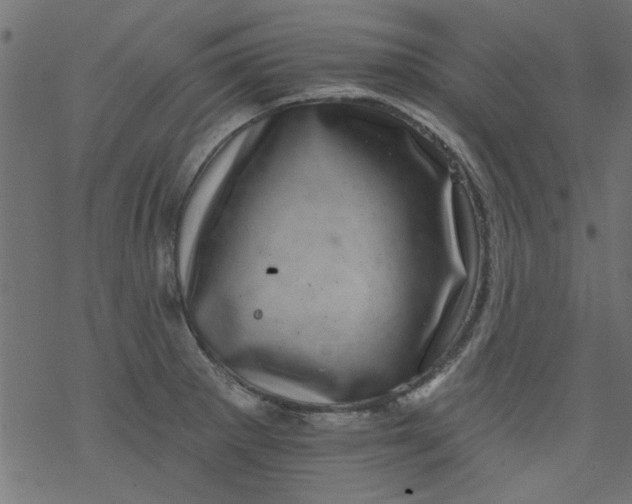 X0000077351281200611031812