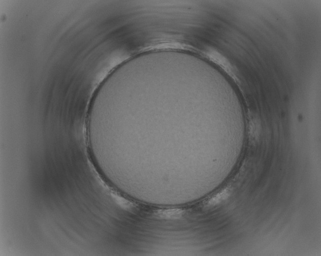 X0000077351282200611031812