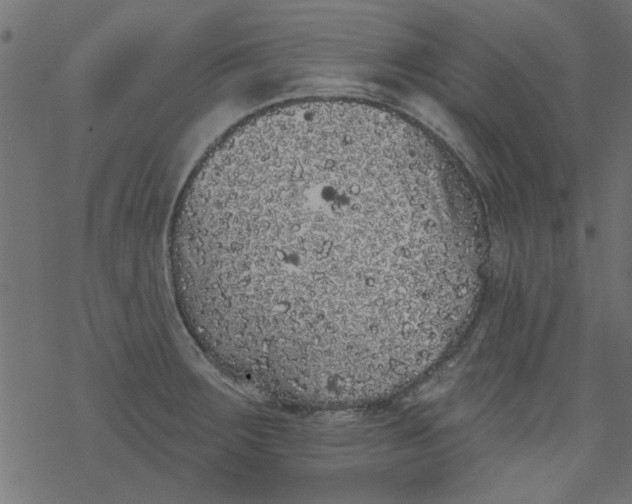 X0000077351283200611031812