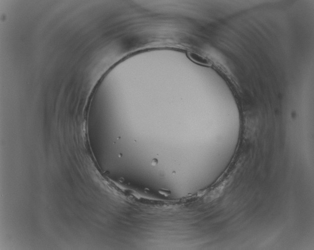 X0000077351284200611031812