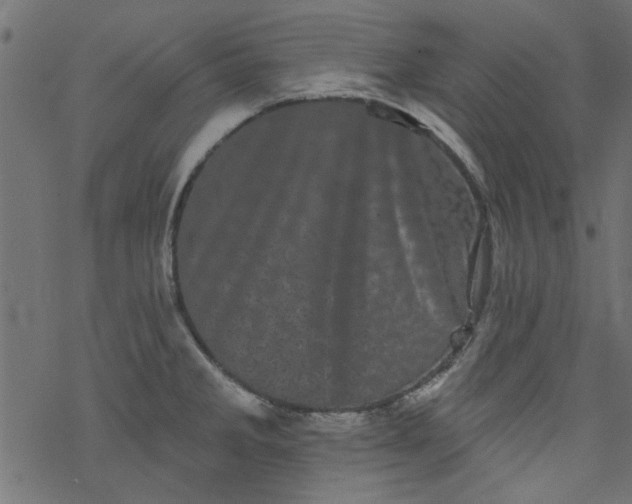 X0000077351285200611031812