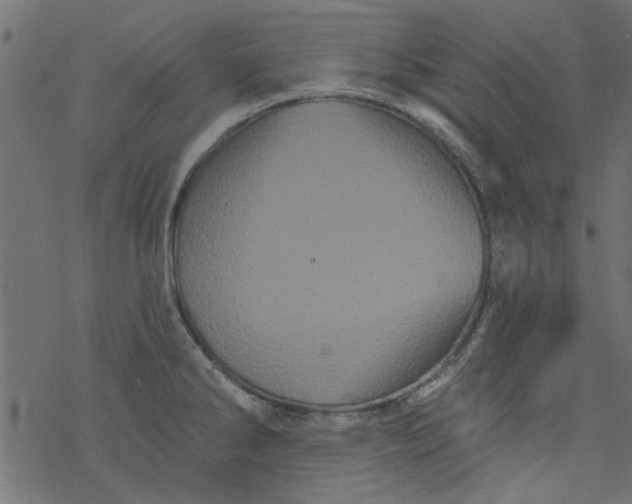 X0000077351286200611031812