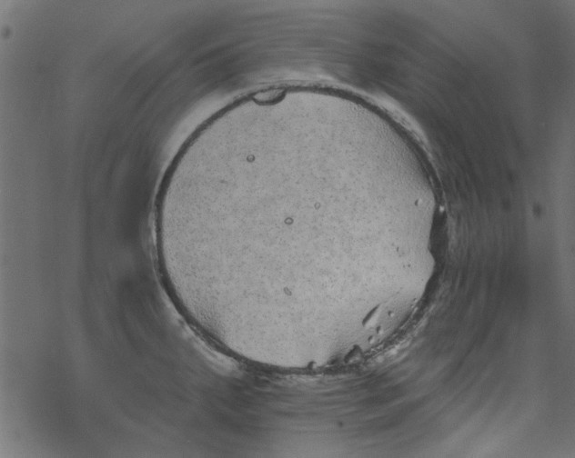 X0000077351287200611031812