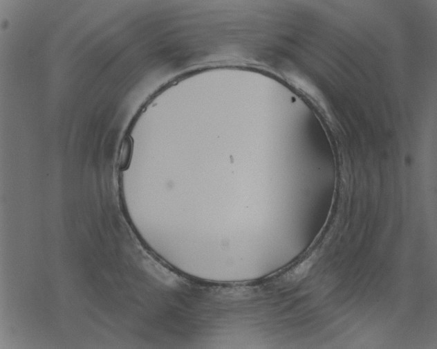 X0000077351288200611031812