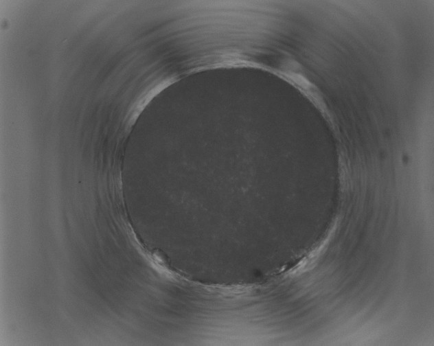 X0000077351289200611031812