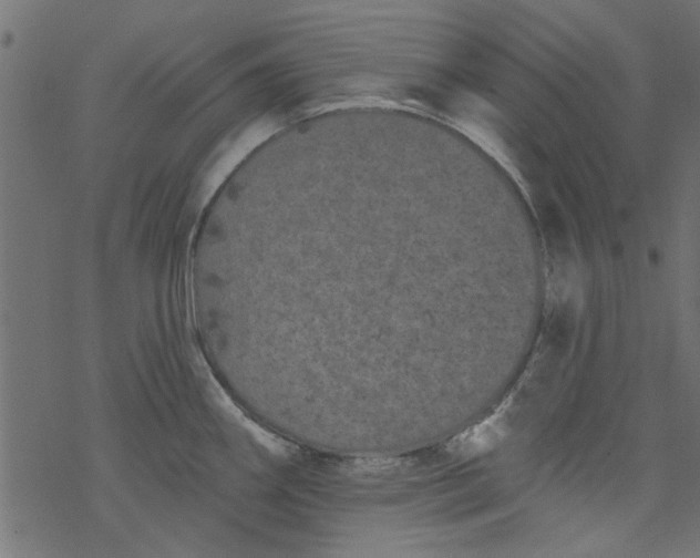 X0000077351290200611031812