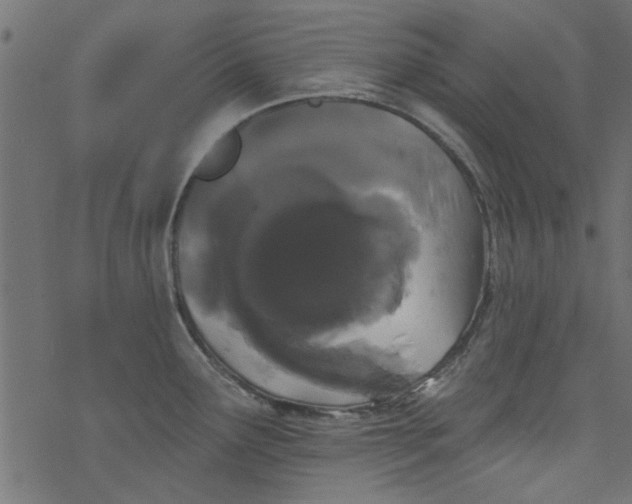 X0000077351291200611031812