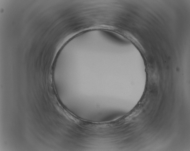 X0000077351292200611031812