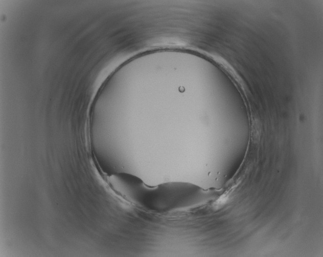 X0000077351295200611031812