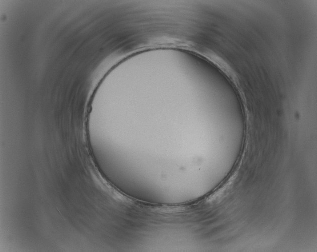 X0000077351296200611031811