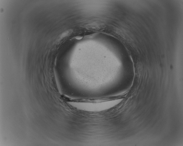 X0000077351297200611031811