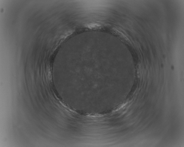 X0000077351298200611031811