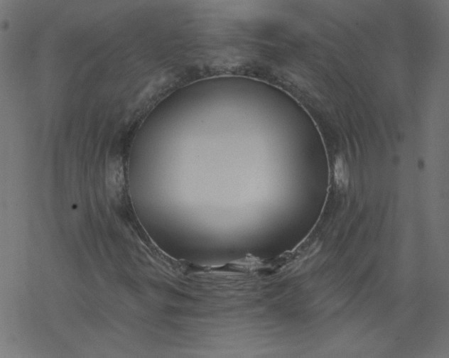 X0000077351299200611031811