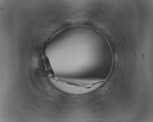 X0000077351300200611031811