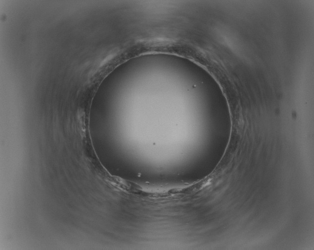 X0000077351301200611031811