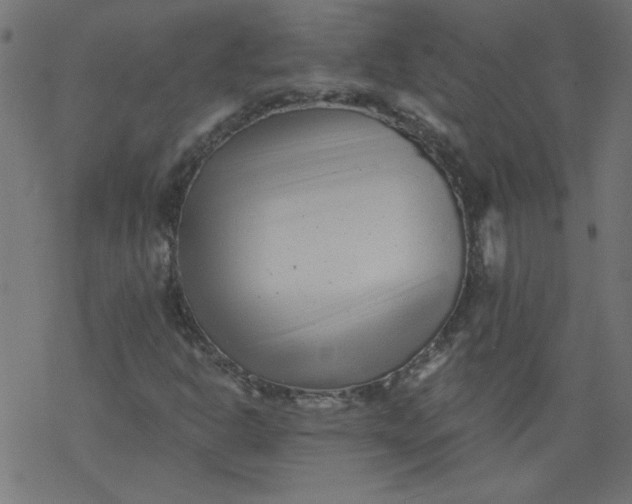 X0000077351302200611031811