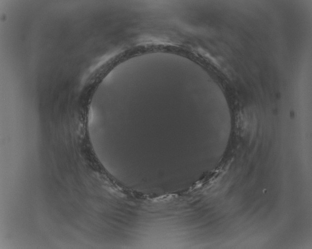 X0000077351303200611031811