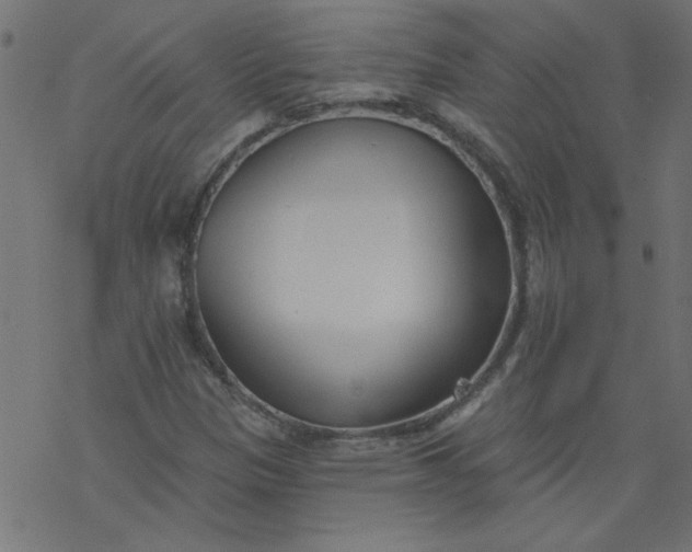 X0000077351305200611031811