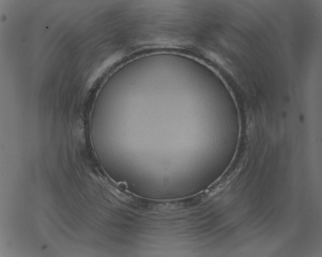 X0000077351307200611031811