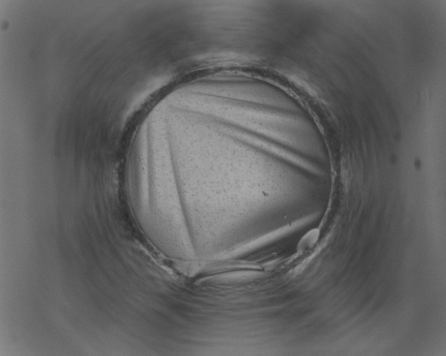 X0000077351309200611031811