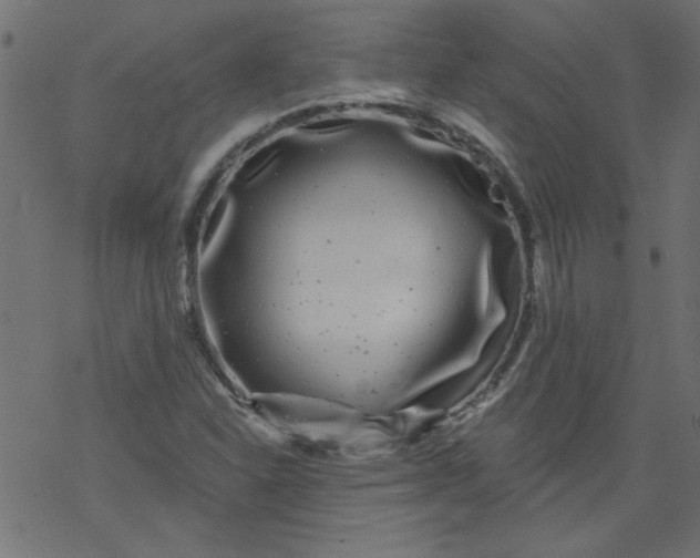 X0000077351310200611031811