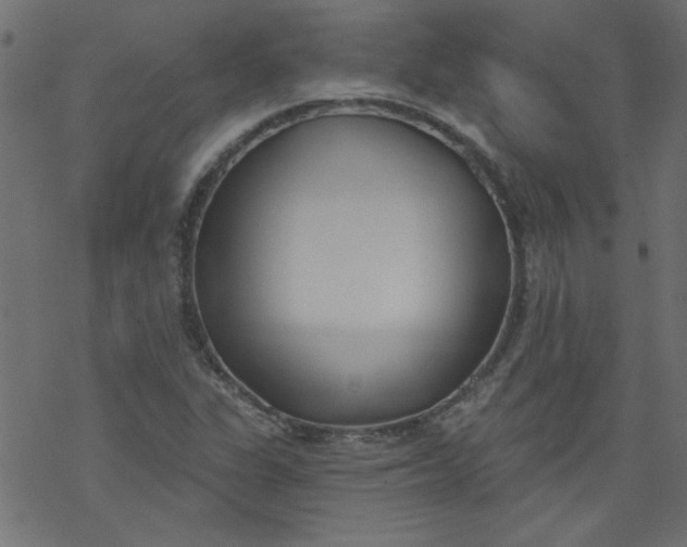 X0000077351311200611031811