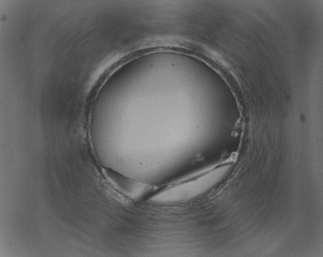 X0000077351312200611031811