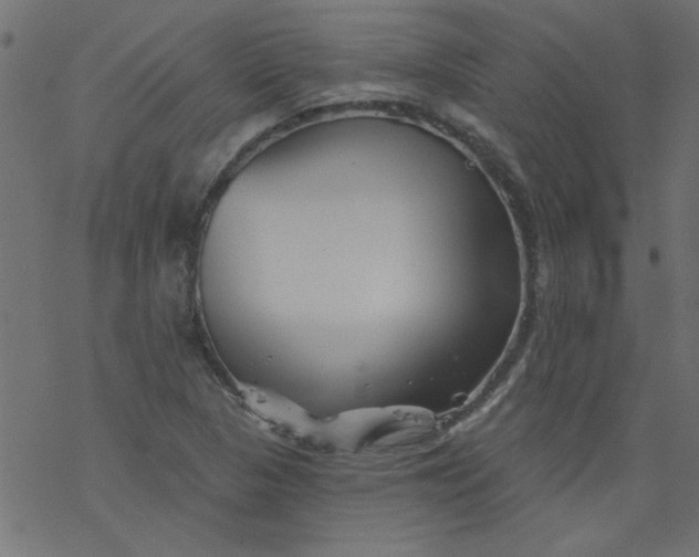 X0000077351313200611031811