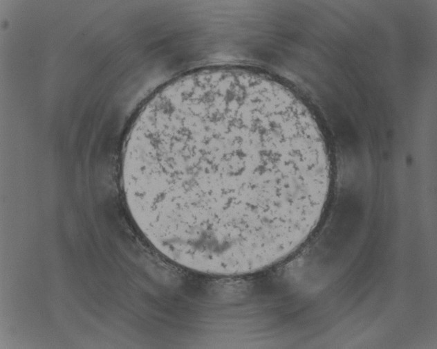 X0000077351314200611031811