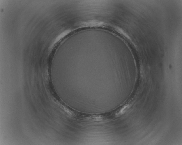 X0000077351315200611031811