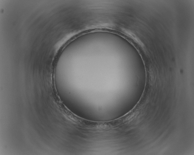 X0000077351316200611031811