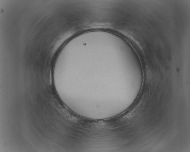 X0000077351317200611031811