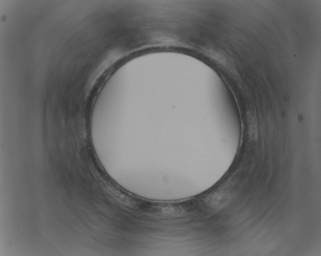 X0000077351318200611031811