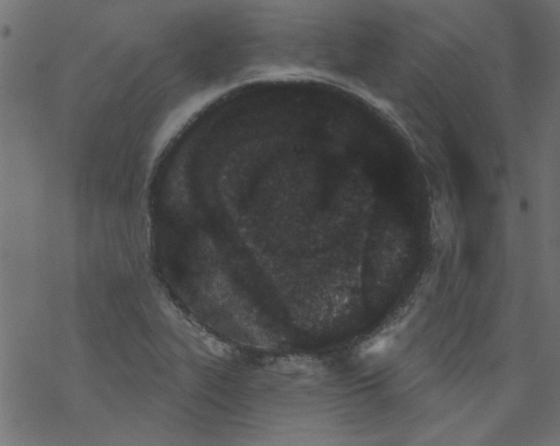 X0000077351319200611031811