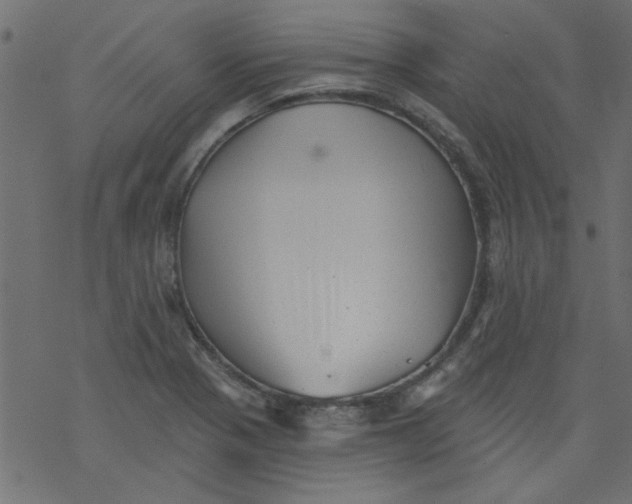 X0000077351321200611031811