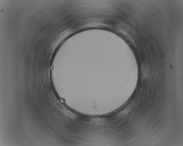 X0000077351322200611031811