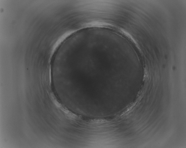 X0000077351323200611031811