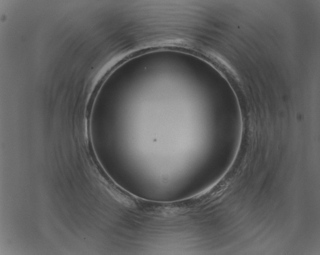 X0000077351324200611031811