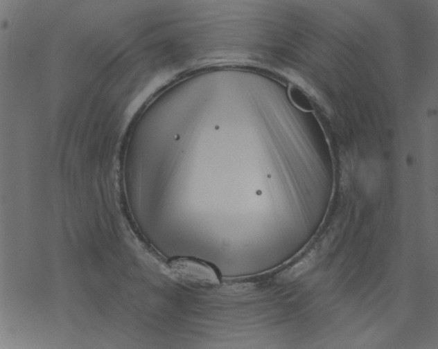 X0000077351325200611031811