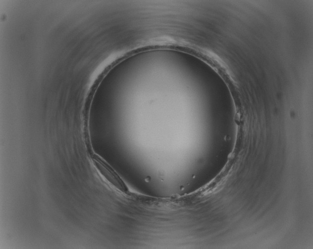 X0000077351326200611031811