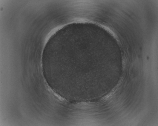 X0000077351327200611031811