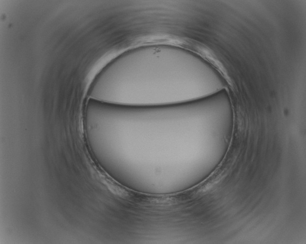 X0000077351328200611031811