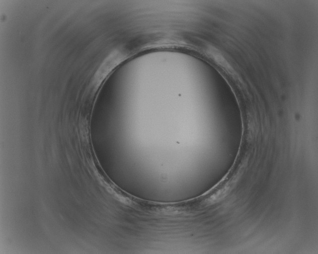 X0000077351329200611031811